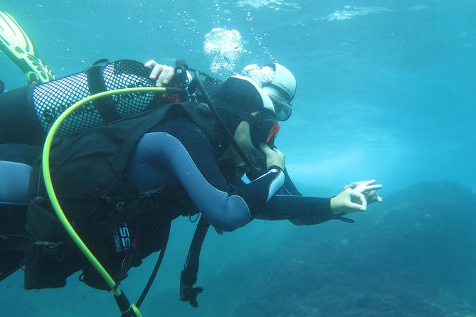 Discover Scuba Diving or Try dive - Private Class Feel: Why You Get Better Attention Than a Group Tour