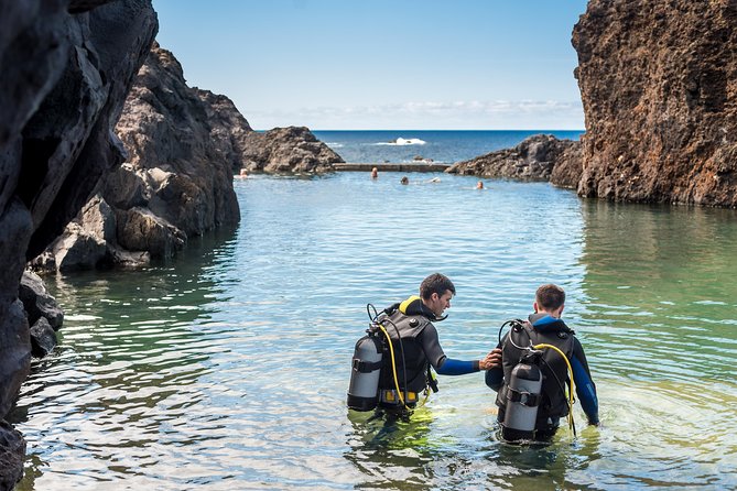 Diving in the Madeira Aquarium - The 2.5-hour flow: what happens from meeting to getting back out