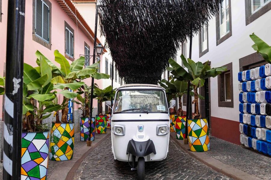 Do Funchal - Câmara de Lobos Fishing Village Tuk Tuk Tour - Price and Value: Is $44 Reasonable for 105 Minutes?