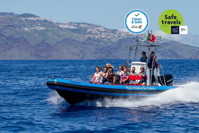 Dolphin - Whale - Turtle - Bird Watching - Entering The RIB World in Funchal Marina