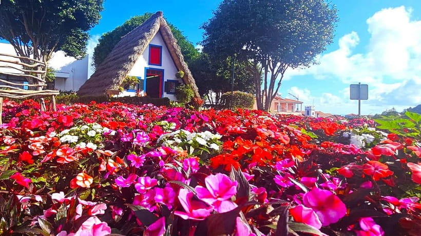 East Madeira: Private Tour with Views & History - Pico do Facho: East Coast Views That Pay Off