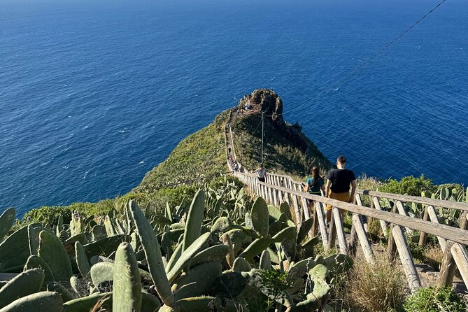 EAST: Pico do Arieiro & Laurissilva Forest - Full Day tour - Key points before you go