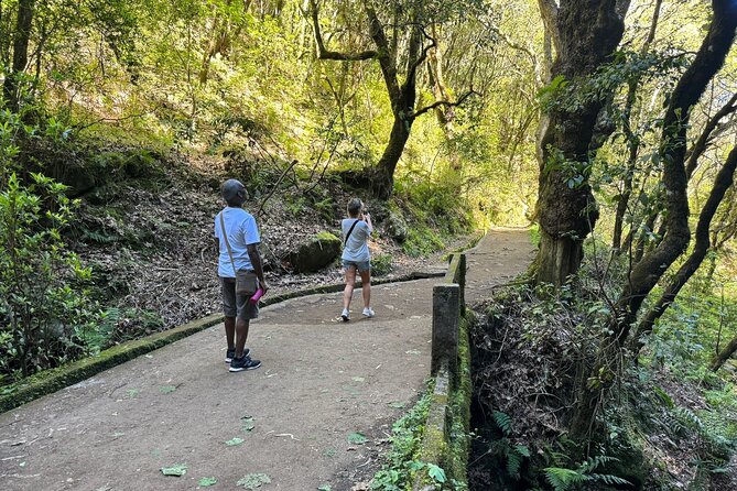 EAST: Pico do Arieiro & Laurissilva Forest - Full Day tour - Porto da Cruz: sugar history and a sea promenade