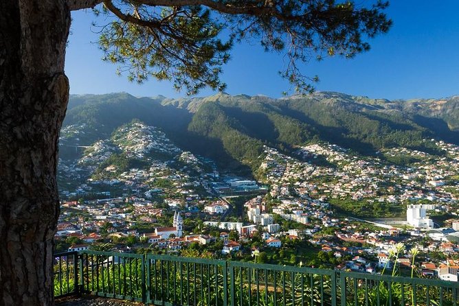 Eira do Serrado - Monte - Why This Half-Day Works So Well From Funchal