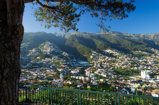 Eira do Serrado - Monte - Who This Tour Suits Best