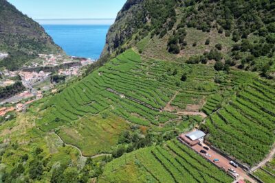 Enchanted Vineyards, Wine 4×4 Tour and Sea Cliff Cabo Girão
