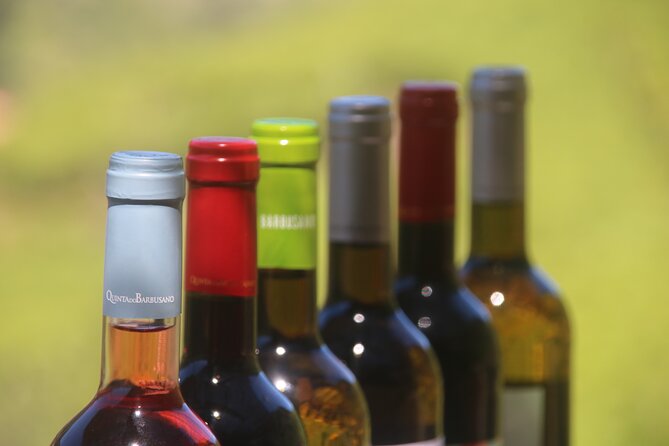 Enchanted Vineyards, Wine 4x4 Tour and Sea Cliff Cabo Girão - Serra de Água: Crafts, Grapes, and the Levada do Norte