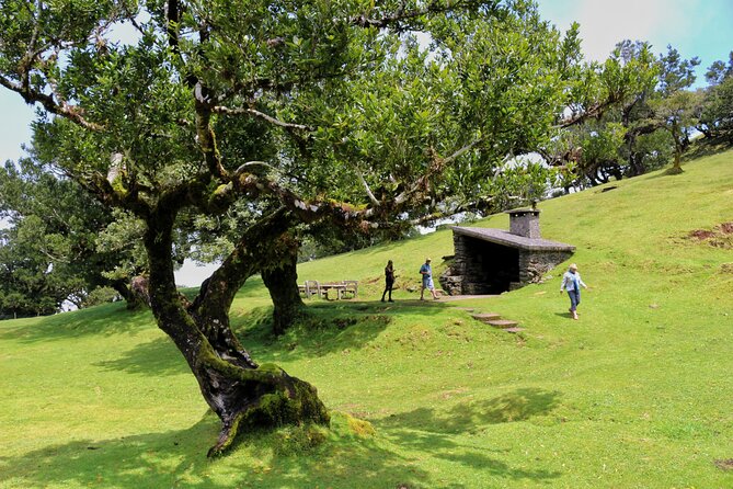 Exploring new Northwest frontiers: Beyond Madeira in 4x4 tour - Paul da Serra plateau: wind turbines, Bica da Cana, and misty ponds