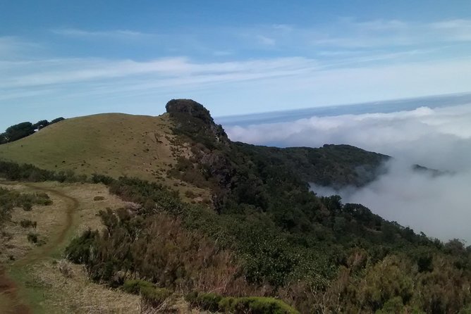 Fanal -Enchanted Forest - Getting Picked Up Anywhere on Madeira (and How That Helps)