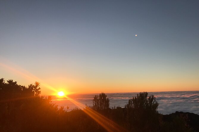 Fanal Forest Private Sunset Hike - The route pace: 7 km with 90% flat walking