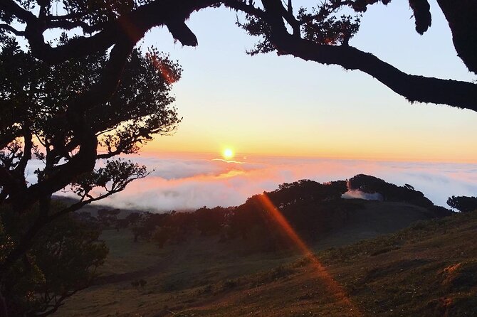 Fanal Forest Private Sunset Hike - Price and value: why $90.11 per person can make sense