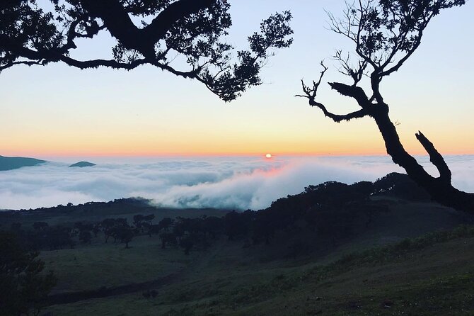 Fanal Forest Private Sunset Hike - Paulo’s private approach: quiet paths and photo-friendly stops