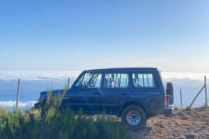 Fanal Forest, Skywalk & Lava Pools: West Madeira 4x4 Expedition - A West Madeira 4x4 day that moves fast, but in a smart way