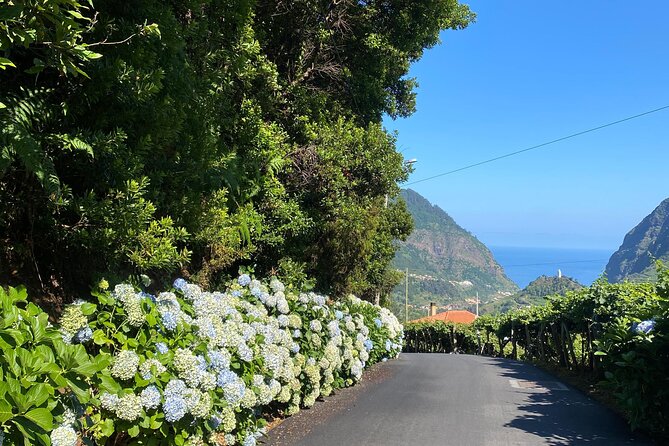 Fanal Forest, Skywalk & Lava Pools: West Madeira 4x4 Expedition - Porto Moniz natural lava pools for swimming and lunch by the sea