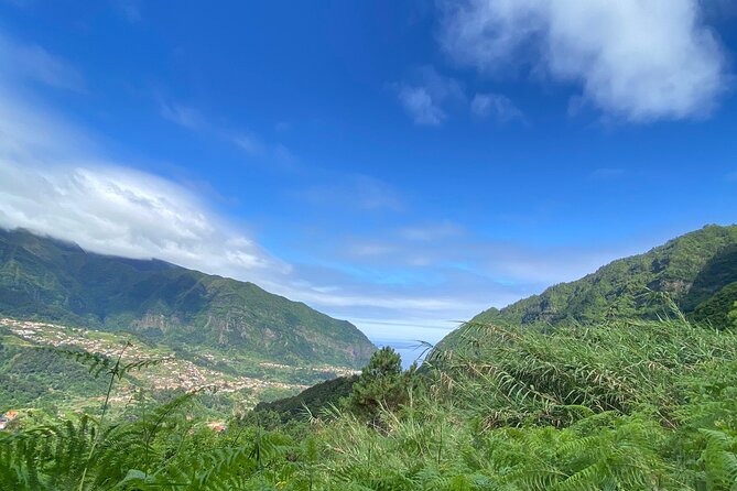Fanal Forest, Skywalk & Lava Pools: West Madeira 4x4 Expedition - Fanal Forest in the Laurissilva, then Paul da Serra and Canhas roads