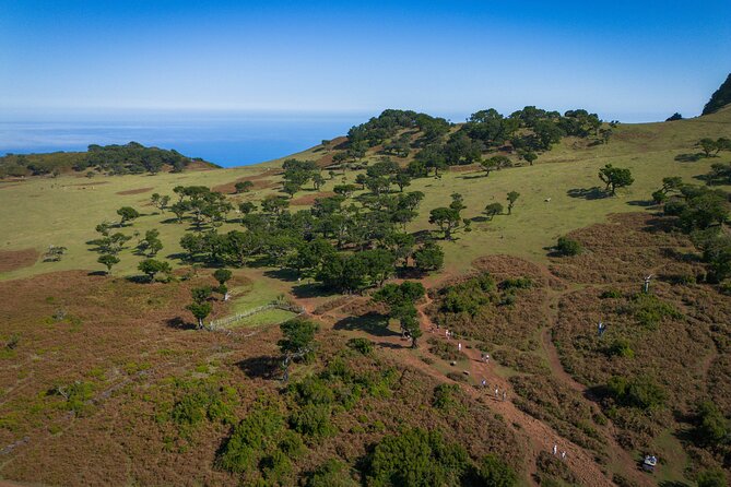 Fanal & Porto Moniz - West Madeira Tour - Paul da Serra plateau: the high country in one pass