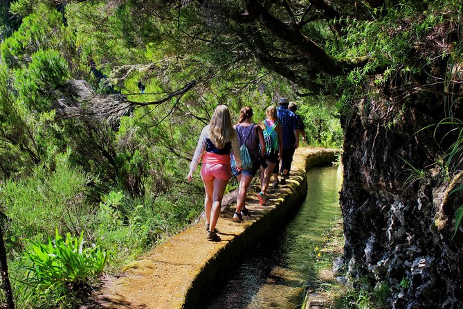 Fascinated Landscapes Northwest 4x4 excursion - Fanal and Ribeira da Janela: where the camera does most of the talking