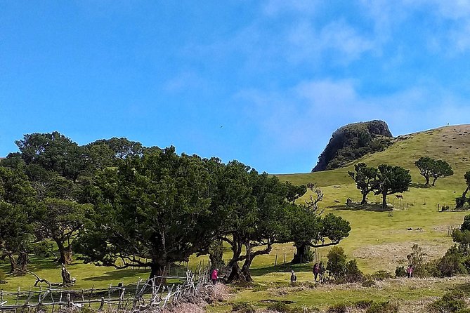 Fascinated Landscapes Northwest 4x4 excursion - Porto Moniz and the volcanic pools: photo time plus a possible swim