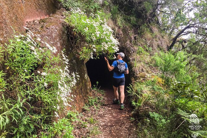 Folhadal Hidden Treasures Running Tour (Moderate) - The Last 3 km: Downhill Relief With Views