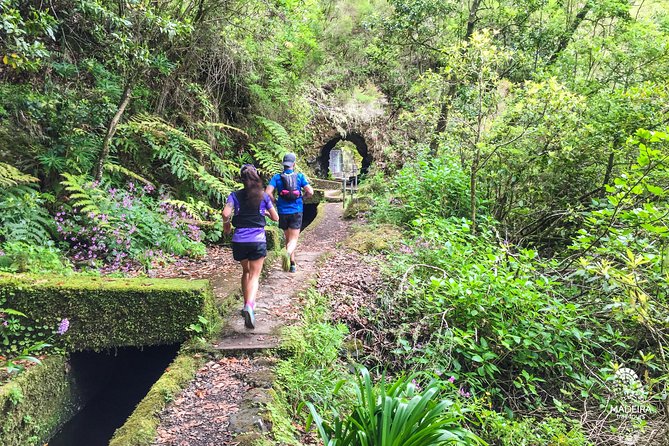 Folhadal Hidden Treasures Running Tour (Moderate) - Waterfalls, Humidity, and That Quiet Forest Feeling