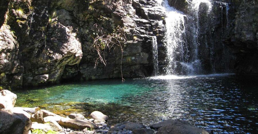 From Funchal: Madeira Lakes Levada Guided Hike - Levada walking: the mini-canals that shape the whole experience