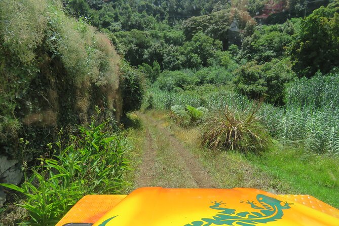 Full Day Guided Tour to The Charms of Northeast Madeira - São Jorge parish and the villages of Arco and Cabanas