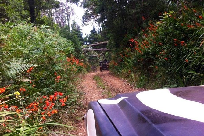 Full-Day Jeep Safari West: Fanal, Porto Moniz, Seixal, Cabo Girão - Getting ready: what the off-road ride is like