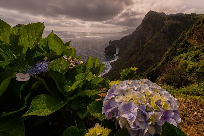 Full Day Madeira Island Tour - Open Roof - Seixal and Véu da Noiva: a waterfall viewpoint with a quick payoff