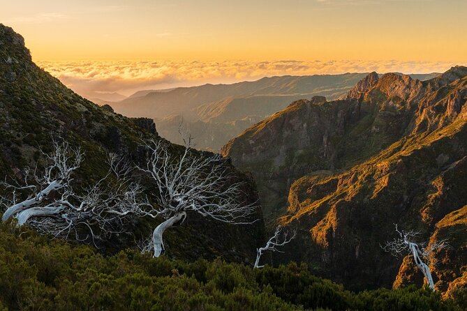 Full Day Madeira Island Tour - Open Roof - Miradouro Ribeira da Janela: watercourse views and tall green mountains