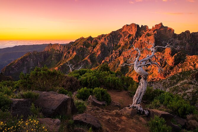 Full Day Madeira Island Tour - Open Roof - Pickup and the small-group rhythm that keeps the day smooth