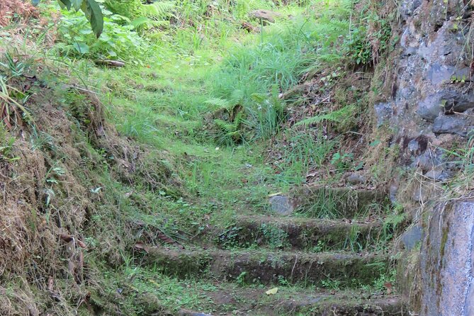 Full Day Private 4x4 Adventure in Madeira - Prazeres and Pico do Arieiro: from countryside calm to big altitude views
