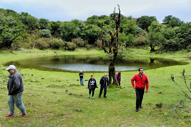 Full Day Private 4x4 Tour in West Madeira with Local Guide - Seixal by the harbor: natural pool access and beach comforts