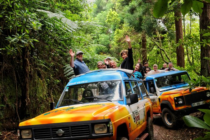 Full Day Private 4x4 Tour in West Madeira with Local Guide - Ilhéus da Ribeira da Janela: sea stacks you can watch from the shore