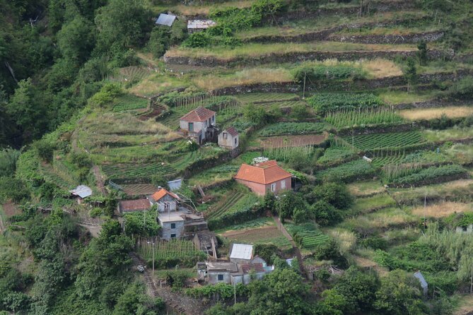 Full Day Tour in Porto Moniz with the Locals - Levada do Paul da Serra and Estanquinhos views