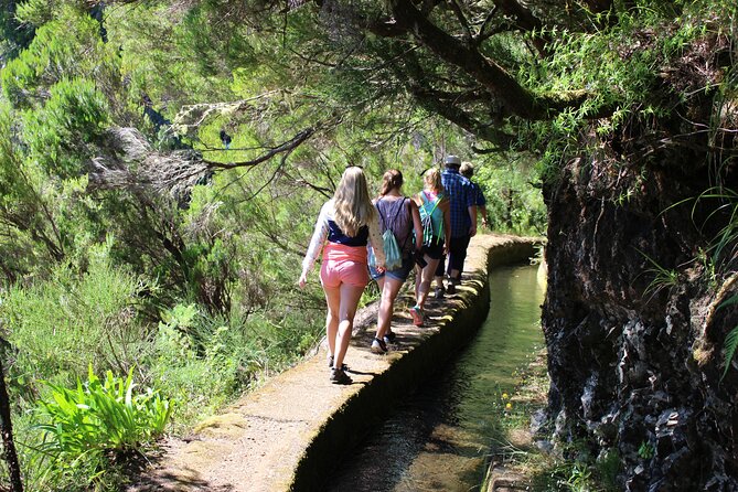 Full Day Tour in Porto Moniz with the Locals - São Vicente context, then the Fanal walking pause in a volcanic crater
