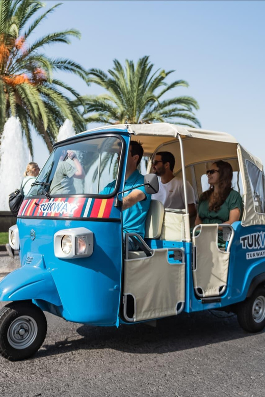 Funchal: 2-Hour Tuk-Tuk Tour with Cable Car Finale - Stop 1: Pico dos Barcelos lookout (15 minutes of big-picture views)