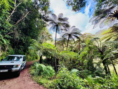 4×4 Jeep Trip to the East and Northeast of Madeira