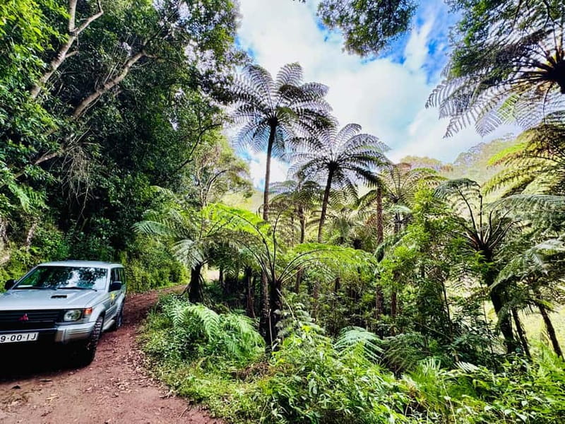 Funchal: 4x4 Jeep Trip to the East and Northeast of Madeira - Pickup and the first look from Funchal-area viewpoints