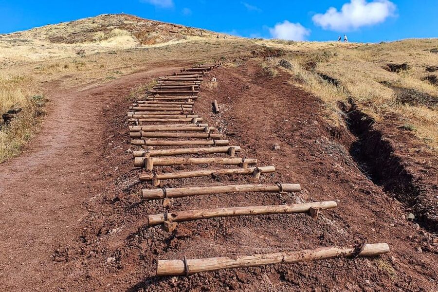 Funchal: Caniçal Ponta São Lourenco Hiking Transfer - Who Should Book, and Who Should Skip This One