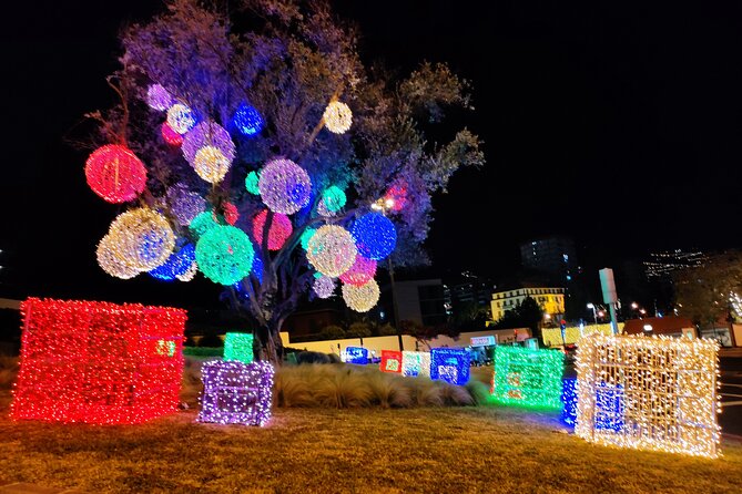 Funchal Christmas lights sightseeing night tour - Timing, Traffic, and Why the Tour Might Stretch Slightly