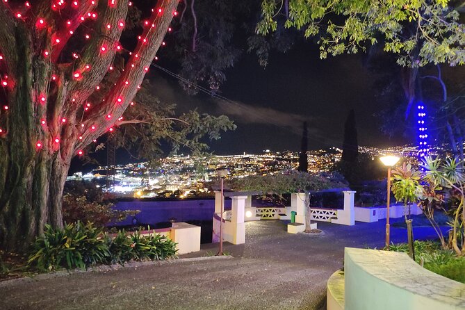 Funchal Christmas lights sightseeing night tour - What’s Included, What Isn’t, and How to Plan Your Evening