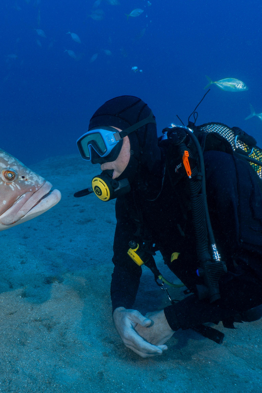 Funchal: Garajau national park - certified divers - Certified-diver rules that make the outing safer and more pleasant