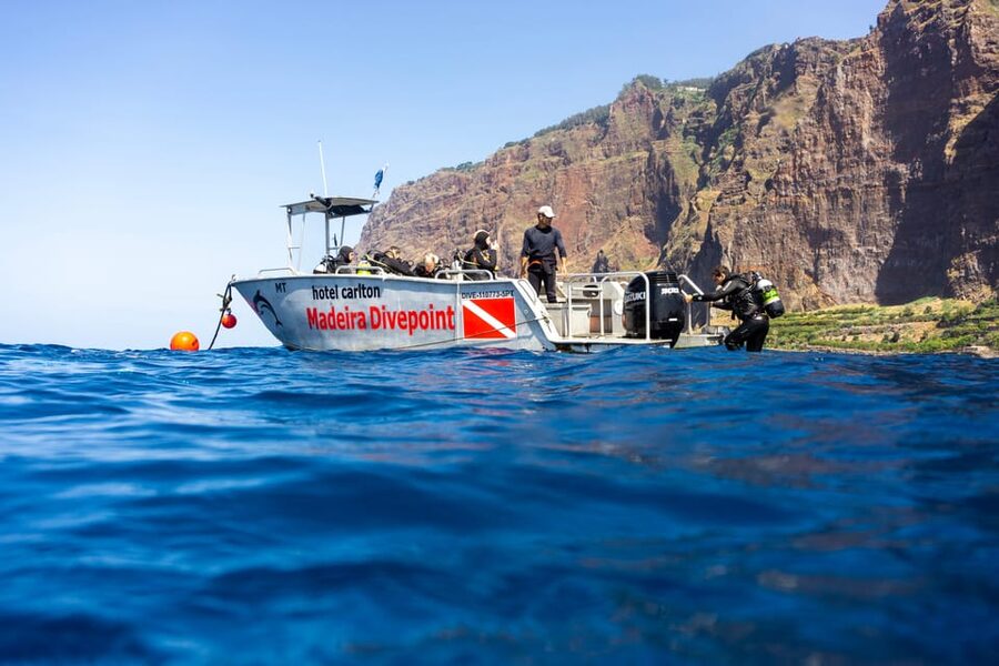 Funchal: Garajau national park - certified divers - Price and value: what $50 covers and what you should budget for