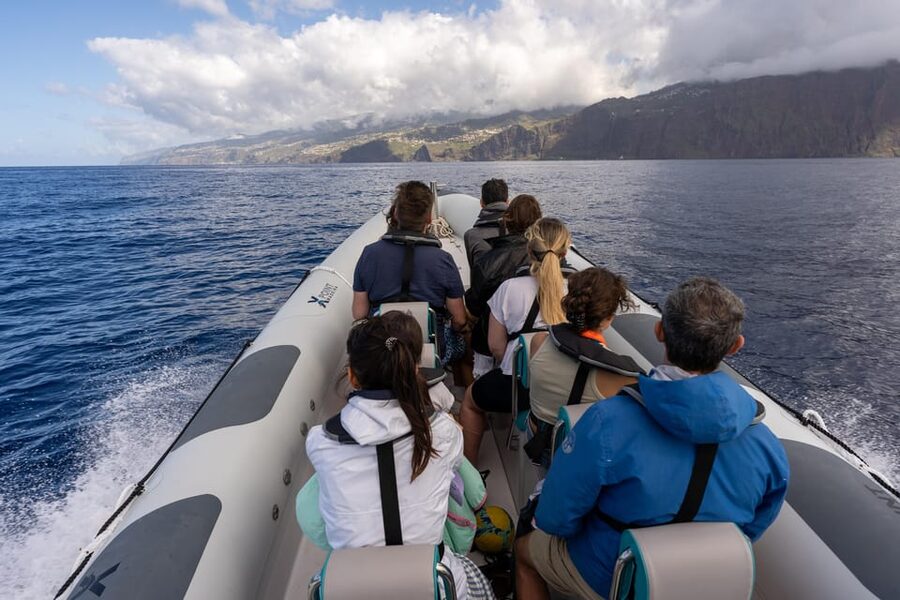 Funchal: Guarantee Wild Dolphin&Whale Watching by RIB - Price and Value: How the $70 Ticket Adds Up