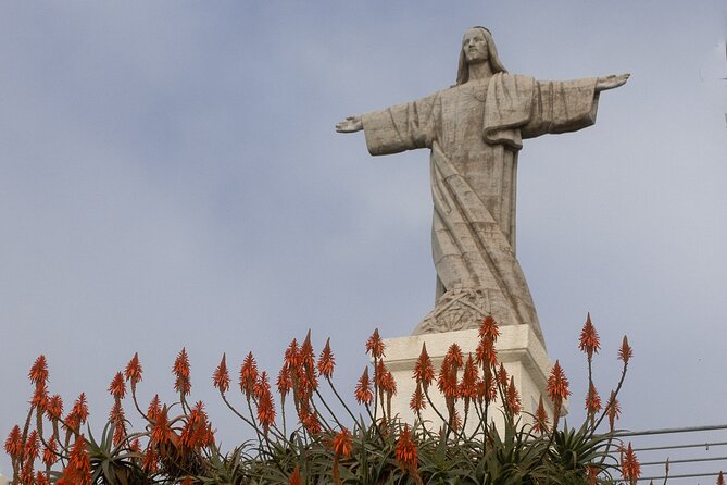 Funchal highlights 5h Private Tour in Madeira - Stop 2, Miradouro Pico dos Barcelos at 355 meters (free 20 minutes)