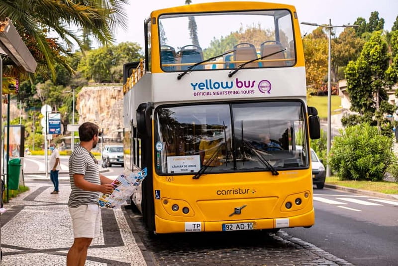 Funchal:Hop-on Hop-off Bus & Whale & Dolphin boat Excursion - Key highlights you should care about