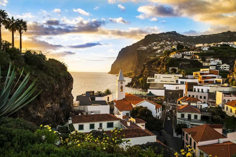 Funchal:Hop-on Hop-off Bus & Whale & Dolphin boat Excursion - Old Blandys Wine Tasting and Bordal Embroidery: Two Smart Cultural Extras