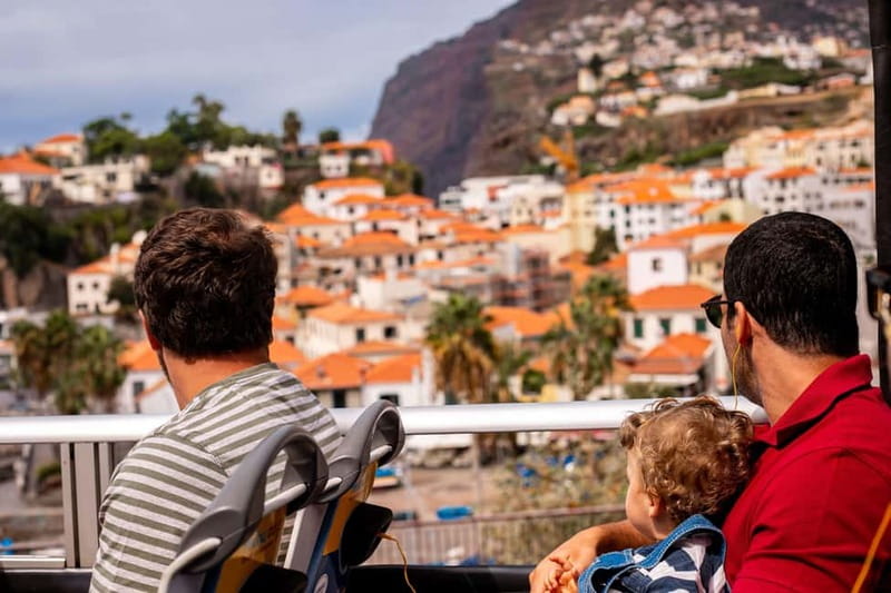Funchal:Hop-on Hop-off Bus & Whale & Dolphin boat Excursion - Hop-On Hop-Off Bus: How to Build Your Own Funchal Day