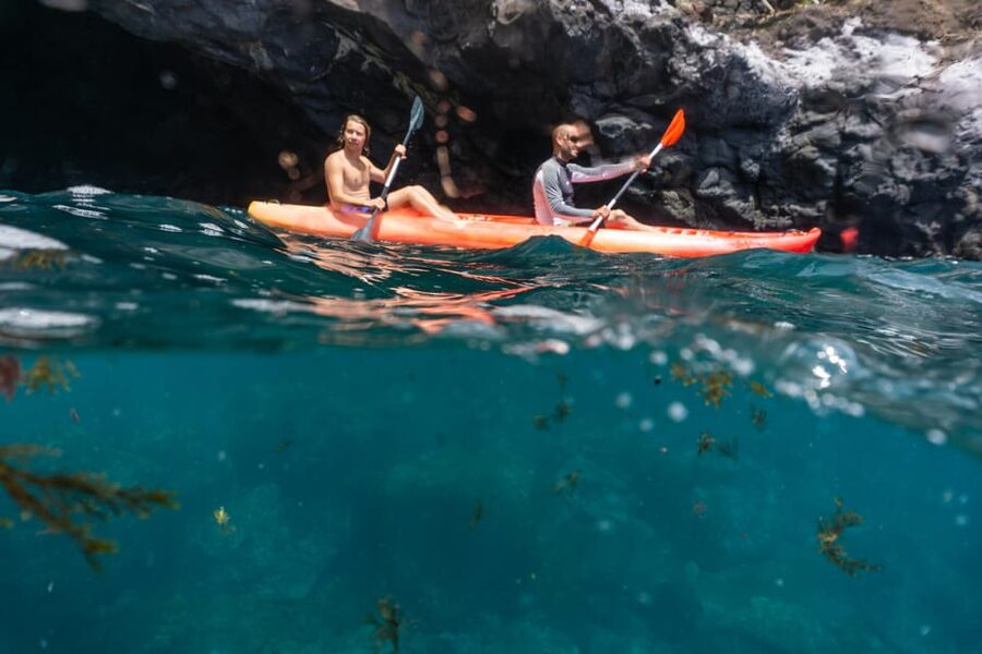Funchal: KAYAK Rental or Guided tour with snorkeling - Key things you will notice on the water