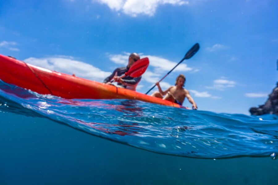 Funchal: KAYAK Rental or Guided tour with snorkeling - Kayaking the Atlantic: guided route or rental-only pace